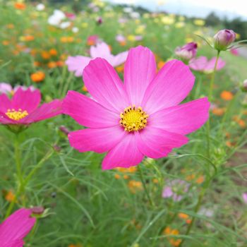 f:id:myukmyuk:20190907234319j:plain