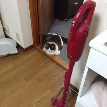 f:id:myukmyuk:20191026215441j:plain