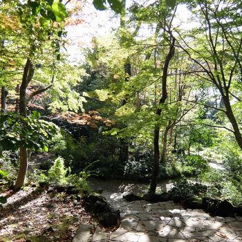 f:id:myukmyuk:20191114205418j:plain