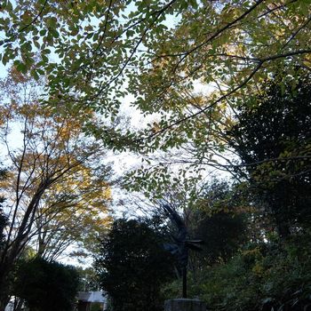 f:id:myukmyuk:20191116223134j:plain f:id:myukmyuk:20191116223134j:plain