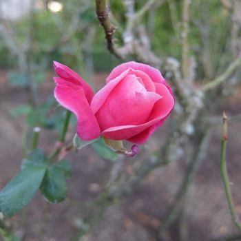 f:id:myukmyuk:20191116223139j:plain f:id:myukmyuk:20191116223139j:plain