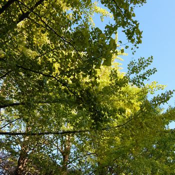 f:id:myukmyuk:20191116223144j:plain f:id:myukmyuk:20191116223144j:plain