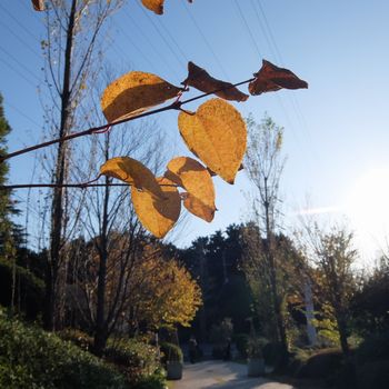 f:id:myukmyuk:20191116223202j:plain f:id:myukmyuk:20191116223202j:plain