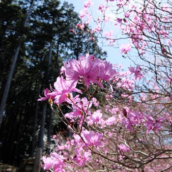 f:id:myukmyuk:20200419150111j:plain f:id:myukmyuk:20200419150111j:plain