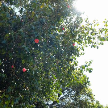f:id:myukmyuk:20200419150150j:plain f:id:myukmyuk:20200419150150j:plain