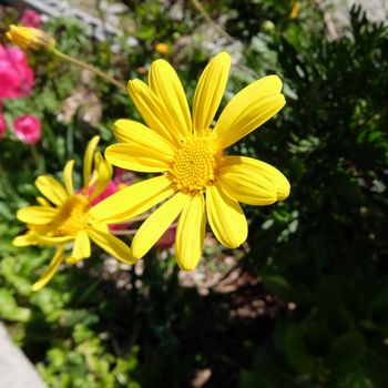 f:id:myukmyuk:20200419150203j:plain f:id:myukmyuk:20200419150203j:plain