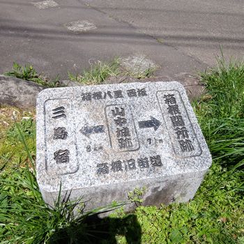 f:id:myukmyuk:20200419150249j:plain f:id:myukmyuk:20200419150249j:plain