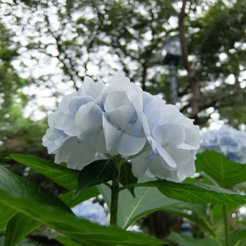 f:id:myukmyuk:20200612214627j:plain