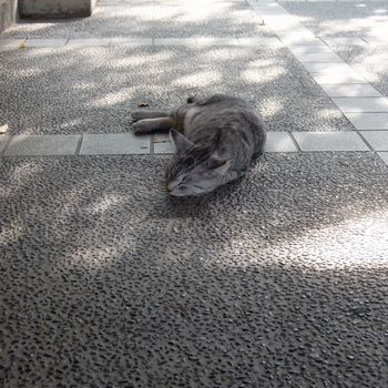 f:id:myukmyuk:20200809210909j:plain f:id:myukmyuk:20200809210909j:plain