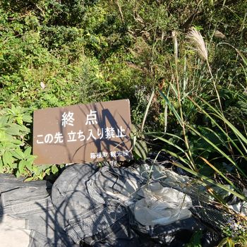 f:id:myukmyuk:20201024205643j:plain f:id:myukmyuk:20201024205643j:plain