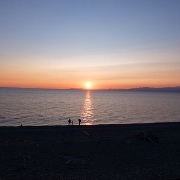 f:id:myukmyuk:20201031202954j:plain