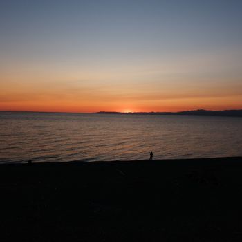 f:id:myukmyuk:20201031203002j:plain