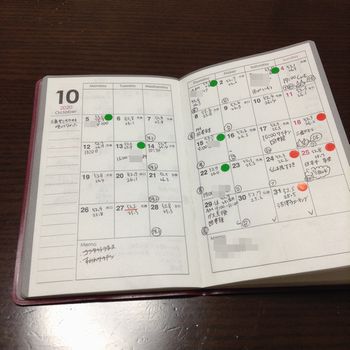 f:id:myukmyuk:20201103210146j:plain