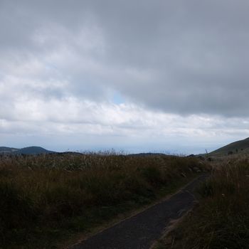 f:id:myukmyuk:20201103210339j:plain