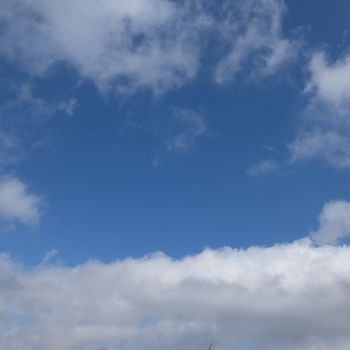 f:id:myukmyuk:20201103210400j:plain