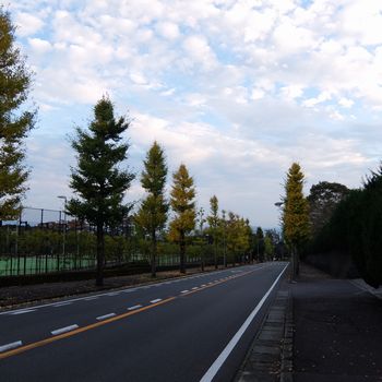 f:id:myukmyuk:20201108192245j:plain