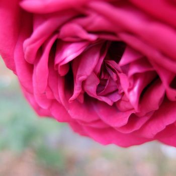 f:id:myukmyuk:20201129205244j:plain