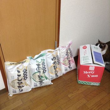 f:id:myukmyuk:20201207214613j:plain