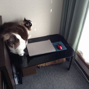 f:id:myukmyuk:20201213194153j:plain