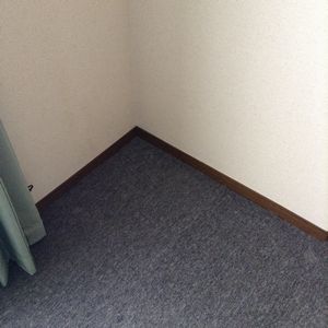 f:id:myukmyuk:20201213194159j:plain