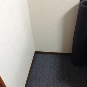 f:id:myukmyuk:20201213194211j:plain