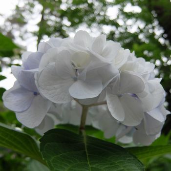 f:id:myukmyuk:20210613183705j:plain