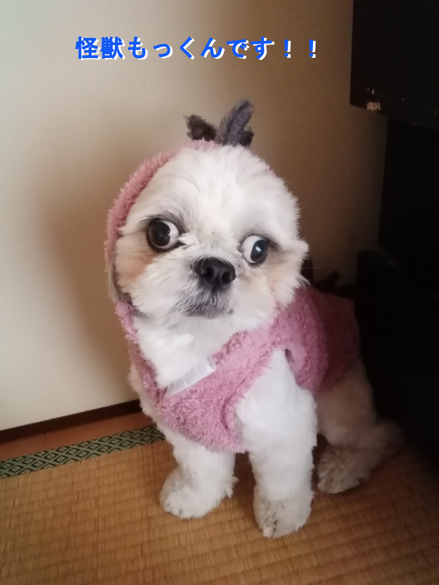 f:id:myumyumoki:20220410170037j:plain
