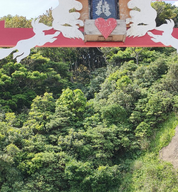 f:id:myurayura:20240521175456j:image f:id:myurayura:20240521175456j:image