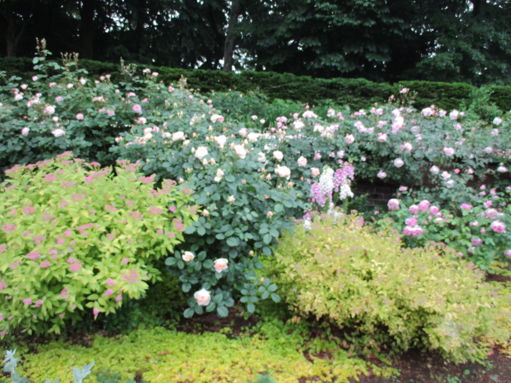 f:id:myuu-myuu:20170526084800j:plain