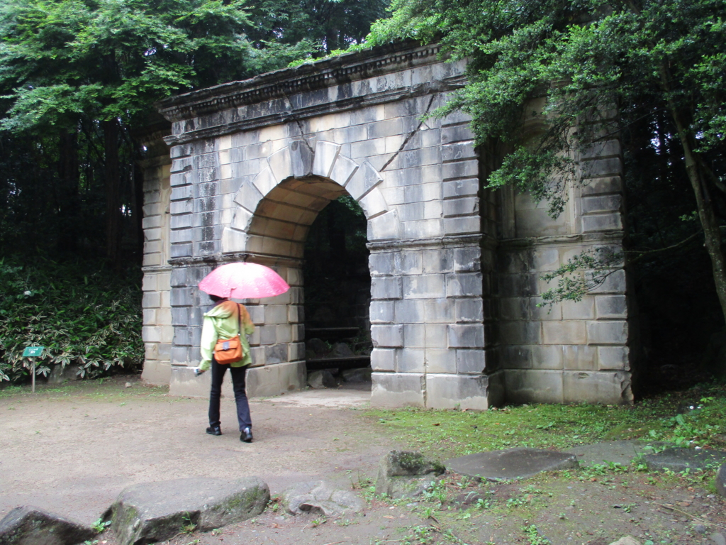 f:id:myuu-myuu:20170526085102j:plain