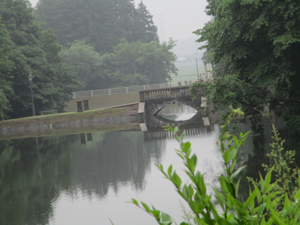 f:id:myuu-myuu:20170526085144j:plain