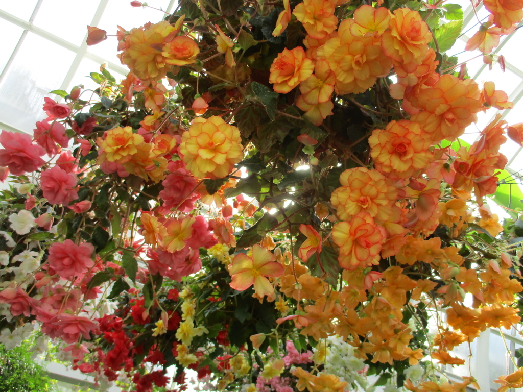 f:id:myuu-myuu:20190129144405j:plain f:id:myuu-myuu:20190129144405j:plain