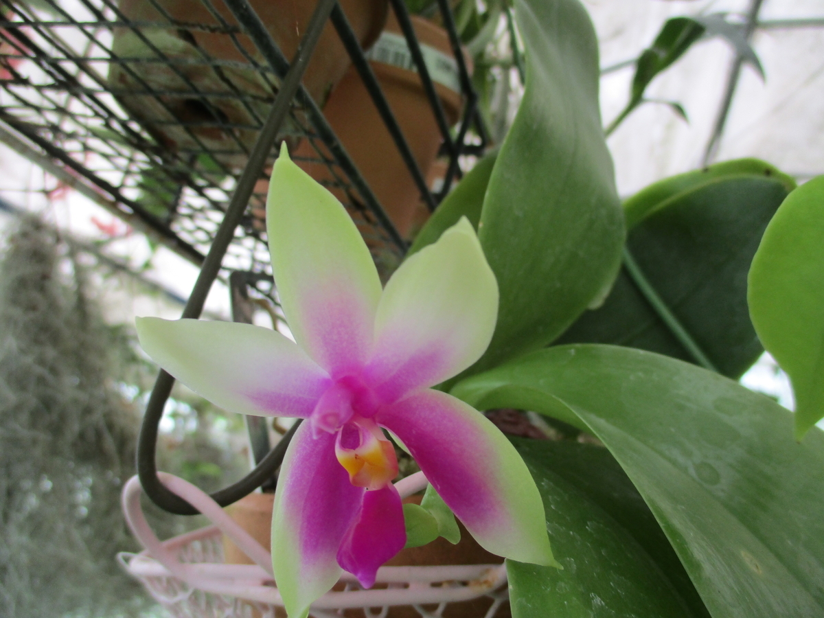 f:id:myuu-myuu:20190924193929j:plain