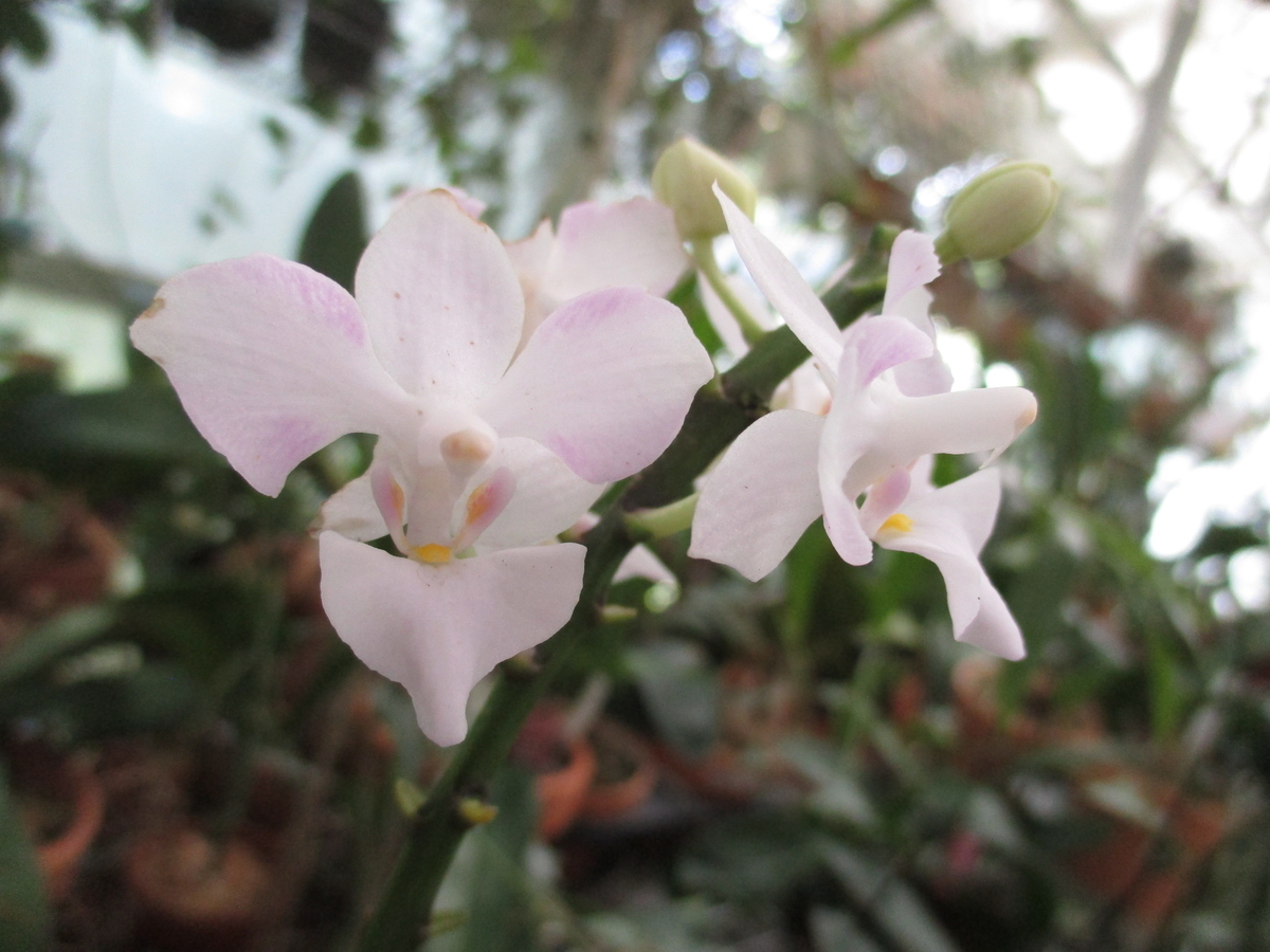 f:id:myuu-myuu:20190924194626j:plain