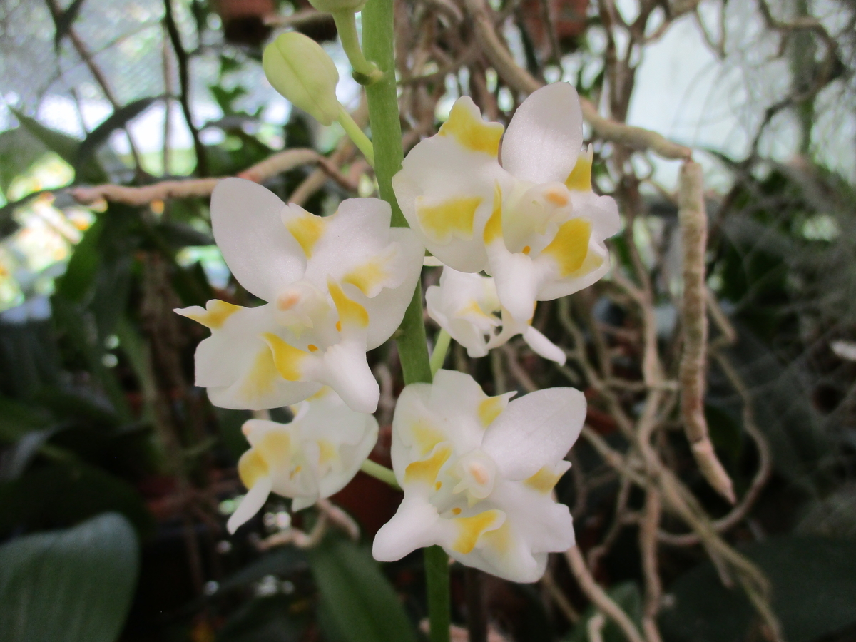 f:id:myuu-myuu:20190924195144j:plain