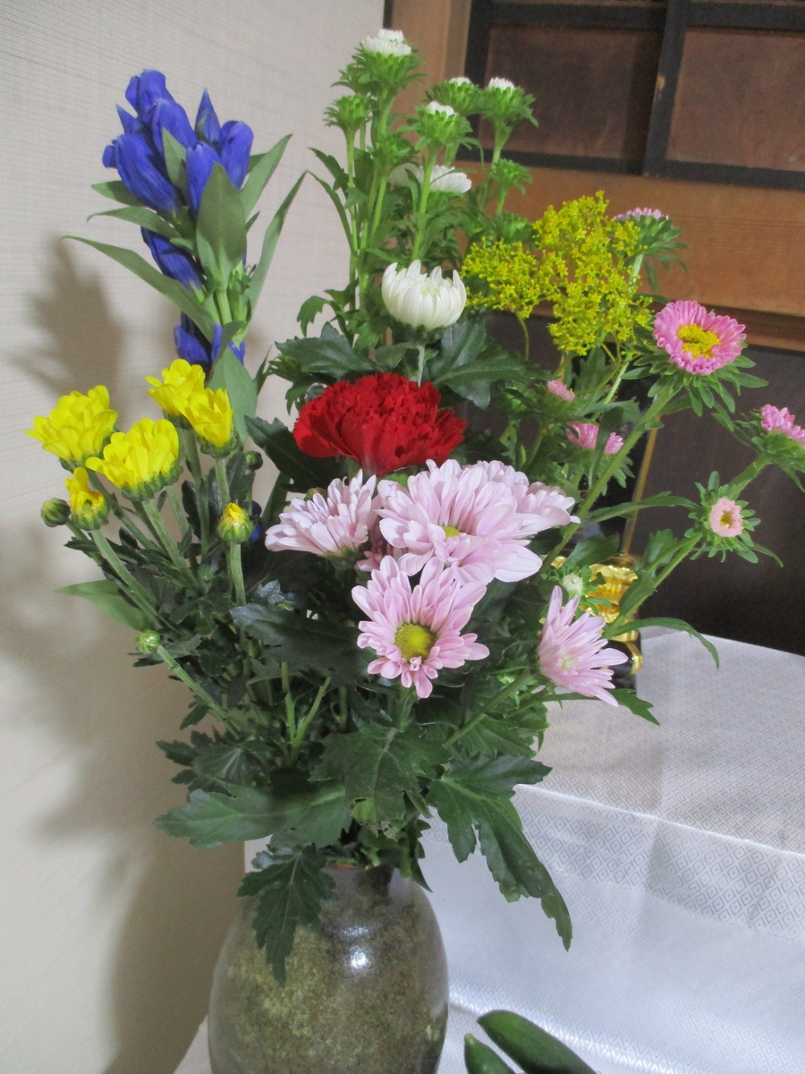 お盆のころ 盆花（ぼんばな） - まつこの庭