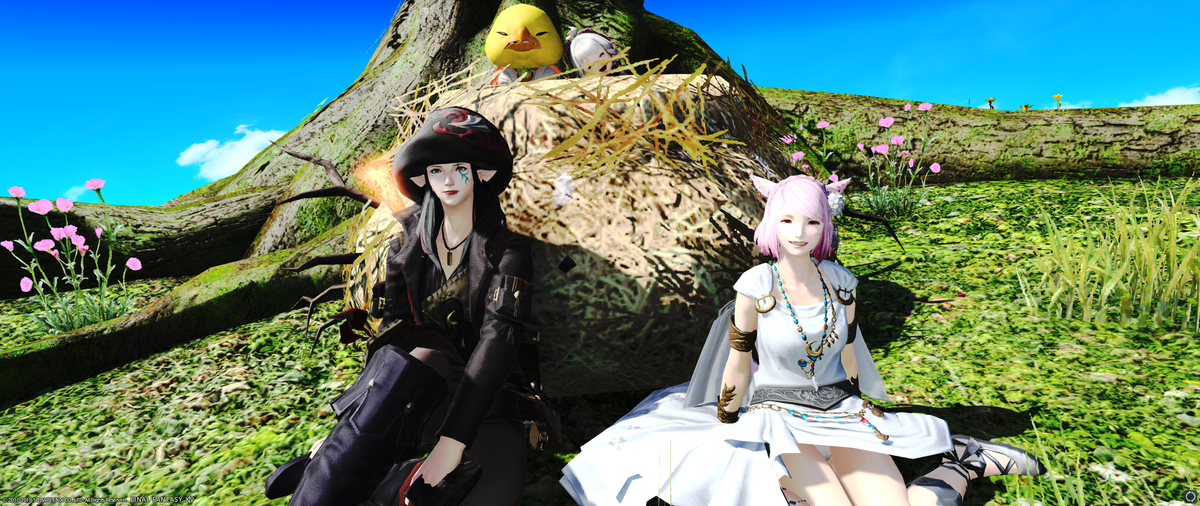 f:id:myuuuu9n:20191211032737p:plain