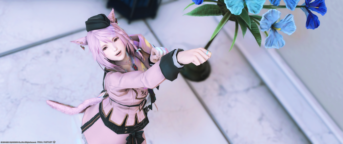 f:id:myuuuu9n:20210210122644p:plain