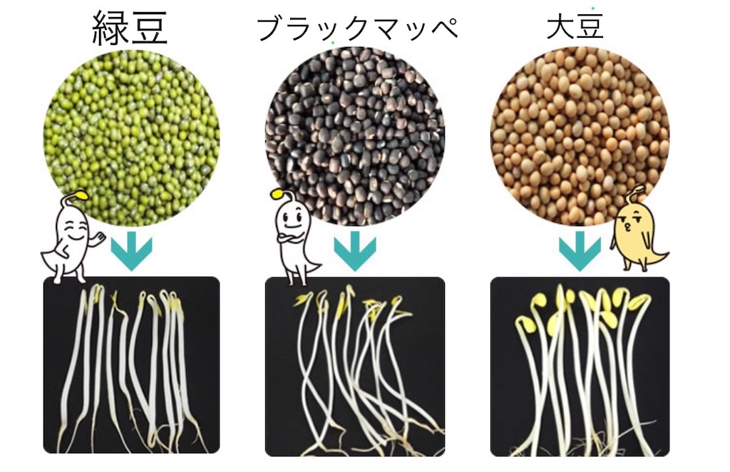 f:id:myyoghurt:20190805161420j:image