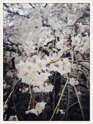 f:id:mzk-310:20130331210947j:image:h520