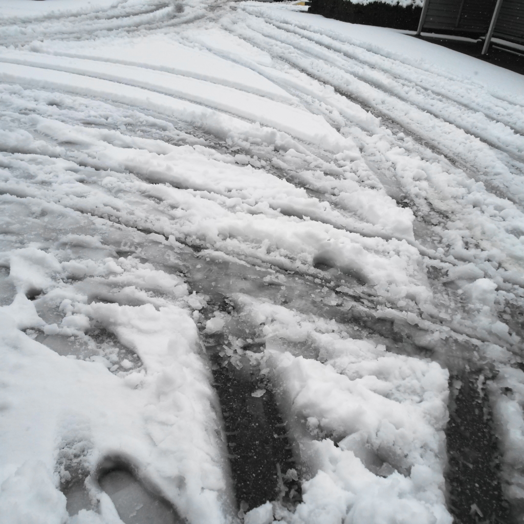 f:id:mzo:20161216091944j:plain f:id:mzo:20161216091944j:plain