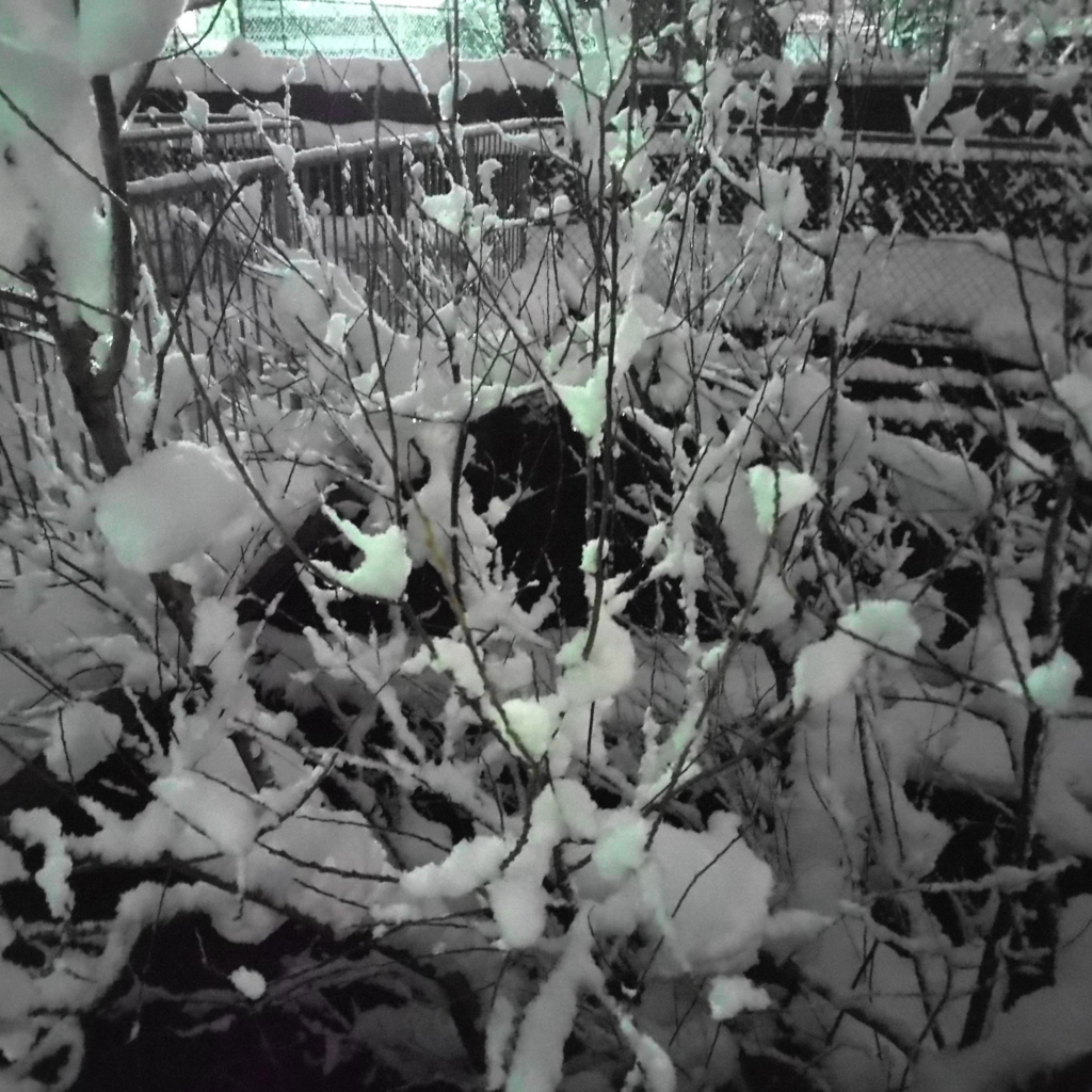 f:id:mzo:20170124212207j:plain