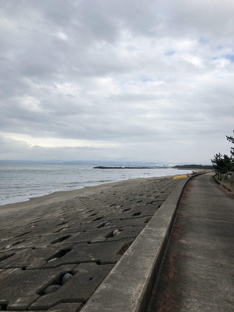 f:id:mzo:20190103231240j:plain