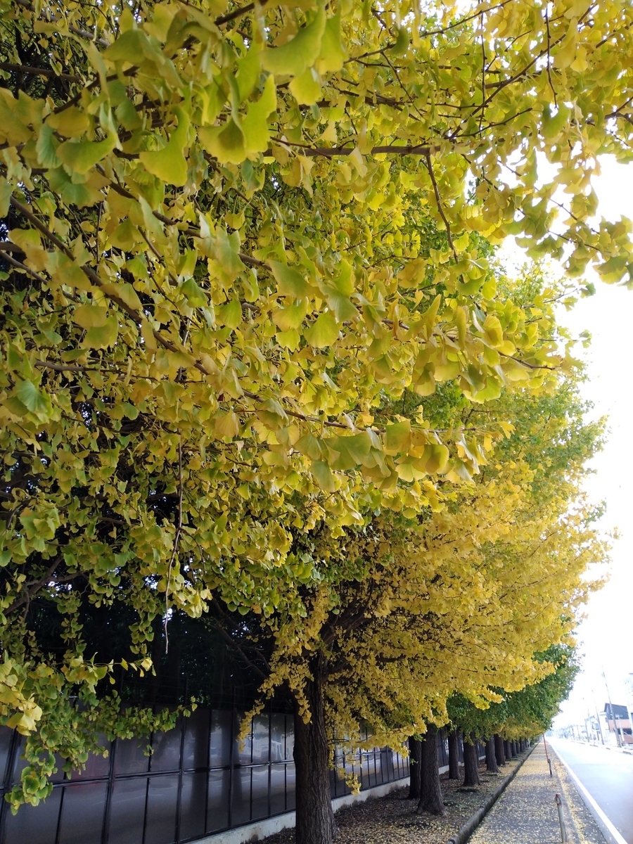 f:id:mzo:20201109112404j:plain