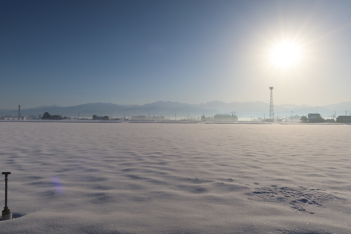 f:id:mzo:20210121083044j:plain