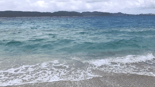 f:id:mzp:20170526211155g:plain f:id:mzp:20170526211155g:plain