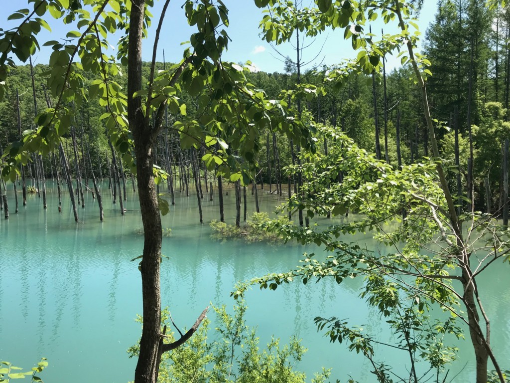 f:id:mzp:20170617094755j:plain f:id:mzp:20170617094755j:plain