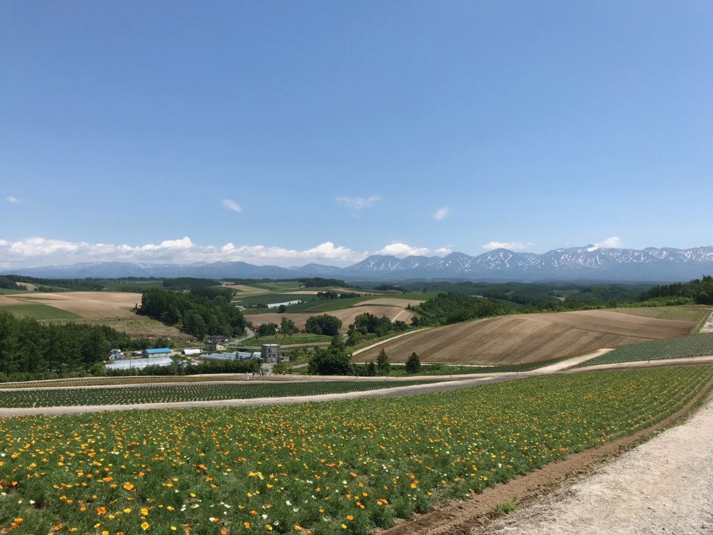 f:id:mzp:20170617114743j:plain f:id:mzp:20170617114743j:plain