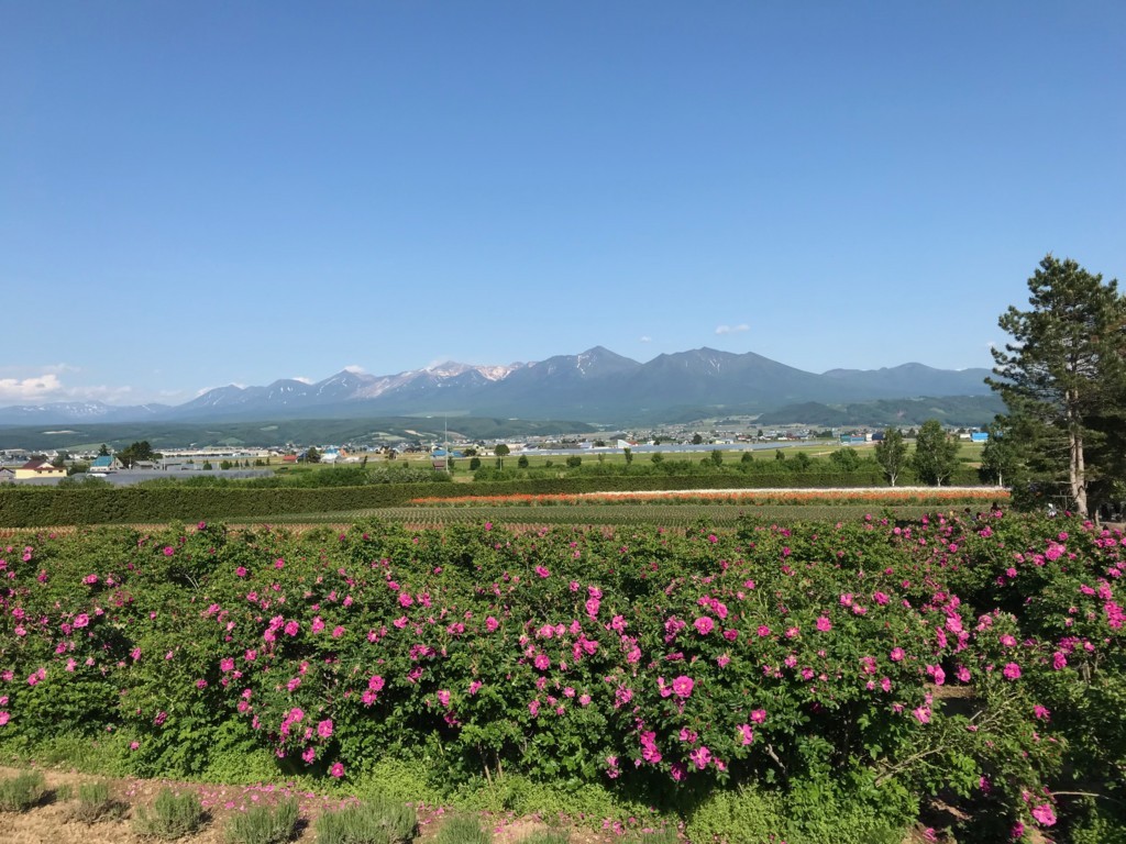 f:id:mzp:20170617154800j:plain f:id:mzp:20170617154800j:plain