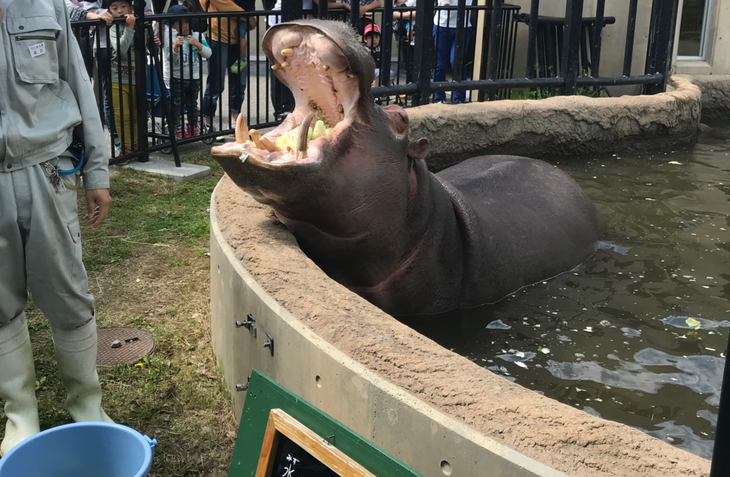 f:id:mzp:20170620234552p:plain f:id:mzp:20170620234552p:plain